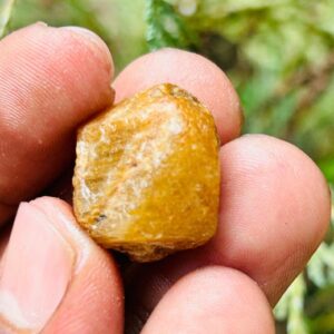 Very Rare Record Keper Yellow Sapphire Rough Crystal Natural Untreated Sapphire Specimen Birthstone Gemstone. 45crt Very Rare Record Keper Yellow Sapphire Rough Crystal Natural Untreated Sapphire Specimen Birthstone Gemstone. 45crt