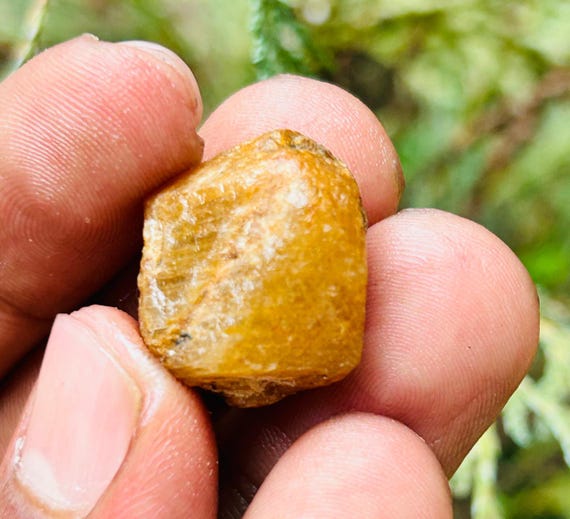 Very Rare Record Keper Yellow Sapphire Rough Crystal Natural Untreated Sapphire Specimen Birthstone Gemstone. 45crt