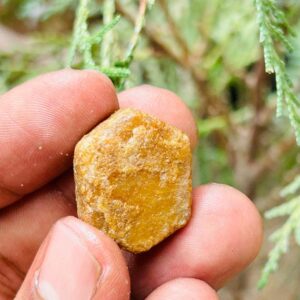 Very Rare Record Keper Yellow Sapphire Rough Crystal Natural Untreated Sapphire Specimen Birthstone Gemstone. 60crt Very Rare Record Keper Yellow Sapphire Rough Crystal Natural Untreated Sapphire Specimen Birthstone Gemstone. 60crt