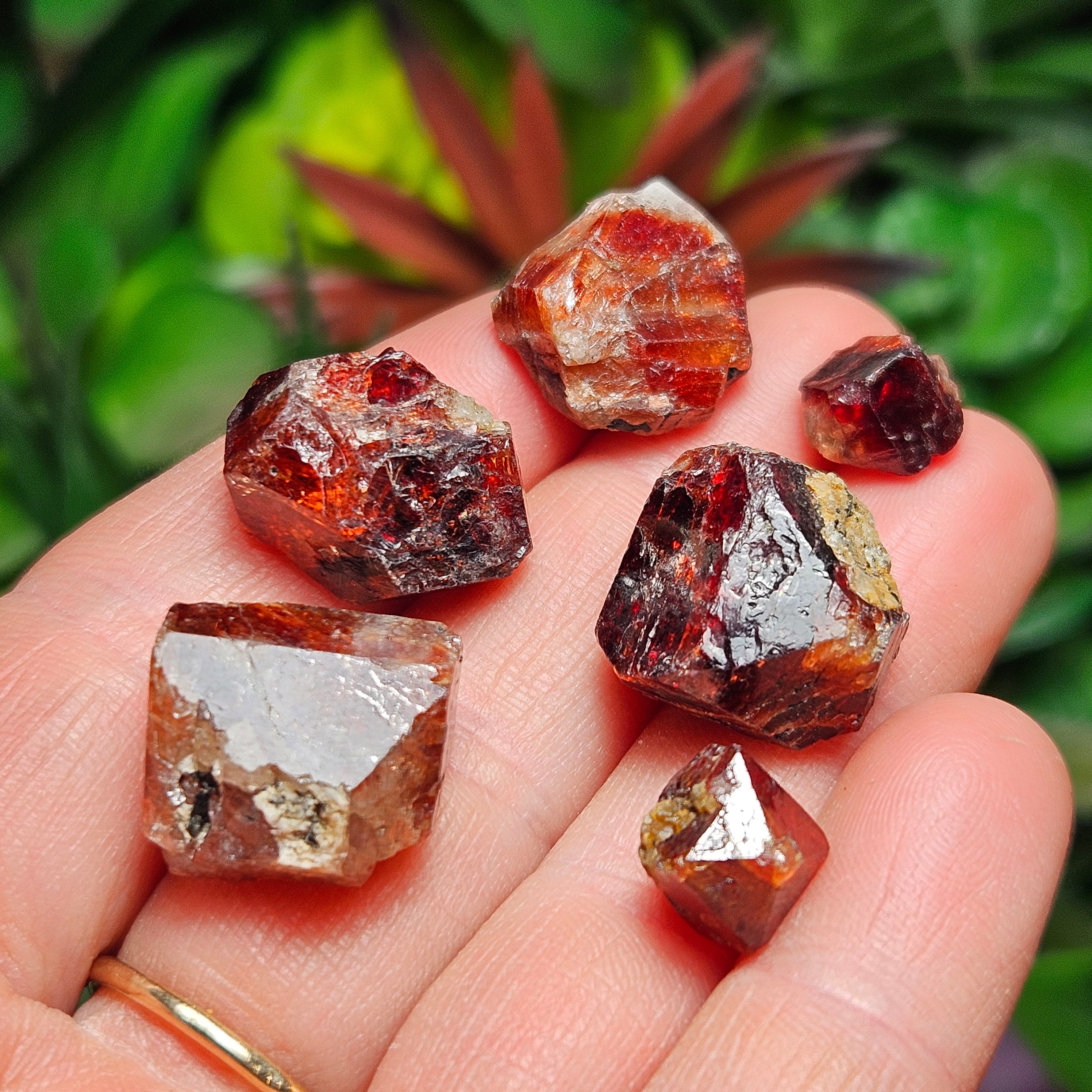 Red Zircon Crystal Specimen: Geometric Tetragonal Stones