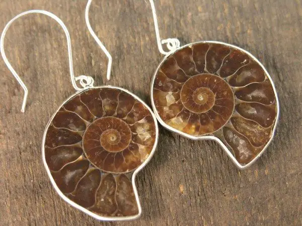 Ammonite Earrings Project